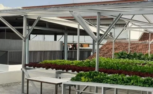 Akar’s early hydroponic greenhouse