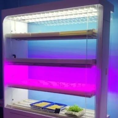 Akar cabinet unit with purple LED